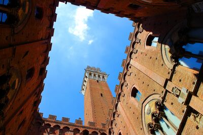Come Si Compila Un Assegno Monte Dei Paschi Di Siena 