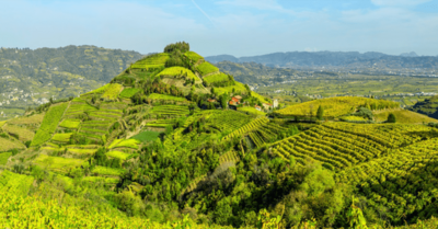 Viaggi, gli esperti del MED-GIAHS: “2025 anno del turismo agricolo”