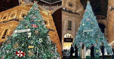  Natale 2021, l’albero Swarovski illumina Milano: 10mila luci e omaggi alla città 