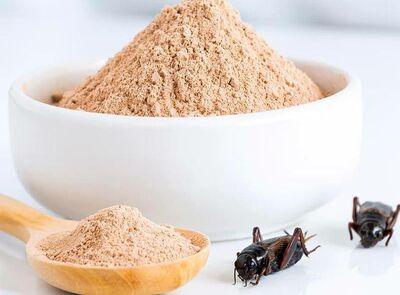  Farine da insetti, via libera a quattro decreti: etichetta contro i rischi e scaffali dedicati 