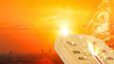  Caldo estremo, ma (forse) si muore di meno: perché? 