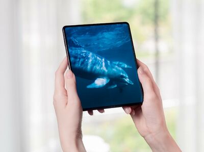  I segreti del display OLED Eco2 del Samsung Galaxy Z Fold3 
