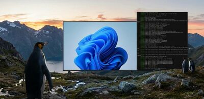  Come installare Windows su Linux nel 2026 ed eseguire i programmi in modo quasi-nativo | IlSoftware.it 