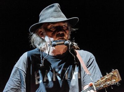  √ Neil Young canta 'Rockin' in The Free World' contro l'oligarchia 