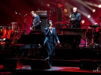  √ Nick Cave sta chiudendo il nuovo album con i Bad Seeds 