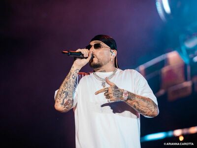  355 euro per incontrare lâartista: i biglietti â Vipâ  ai concerti 