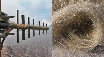  Hawaii, l'eruzione del Kilauea aumenta i rischi legati ai 'capelli di Pele' 