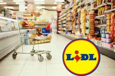  Estate al fresco e low cost: da Lidl l’offerta del momento scatena il delirio alle casse