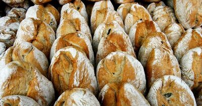  Al via registro per chi produce e vende pane fresco in Sardegna 