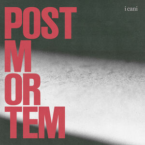  I Cani: 'post mortem' recensione 
