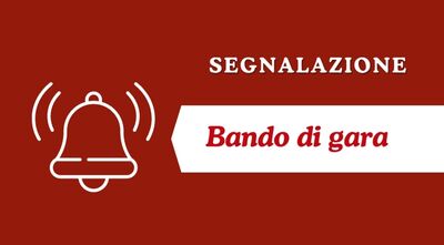  Bando di gara Camera di Commercio di Torino 