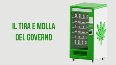  Cannabis light: il governo prima apre, poi richiude tra maxi-tasse e dietrofront 