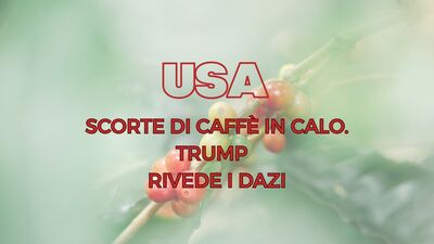  Trump rimuove i dazi sul caffé vietnamita mentre gli USA restano a corto di chicchi 