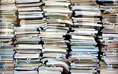  Bonus librerie 2024, domande al via: come funziona l’agevolazione 