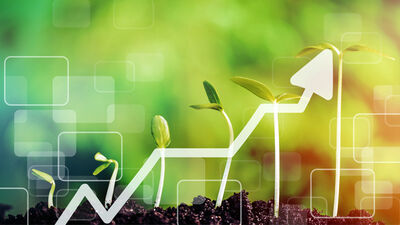  Investimenti sostenibili poco diffusi: informazioni confuse e regole poco chiare 