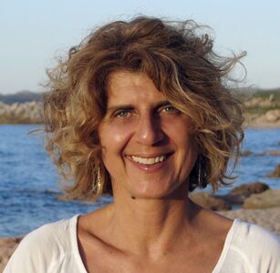  Gamberi, più di 60 specie in commercio e prezzi molto variabili 