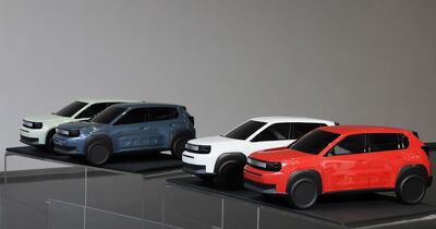  Sono in Arrivo le serie speciali per Fiat Grande Panda 