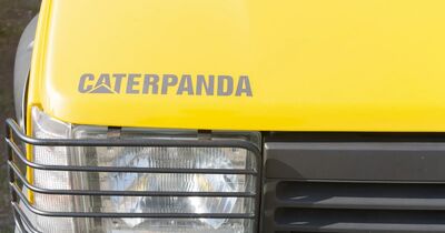  Raduno Panda a Pandino: Perchà© l'Imperfezione é il Segreto dell'Evento più Popolare d'Italia 