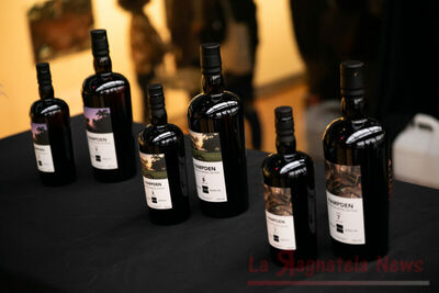  The Fragrance of Trelawny: quando il rum incontra la fotografia d’autore 