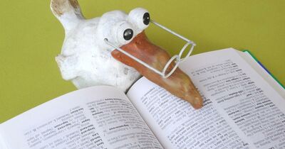  Decreto Milleproroghe 2022: l’approvazione del testo in Senato dai bonus casa all’Irpef 