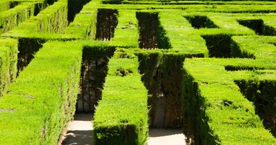  Conoscevi tutti i labirinti in Piemonte? Uno di questi è sotterraneo 