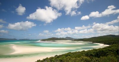  Whitehaven Beach, la spiaggia più bella del Mondo 2021 secondo Tripadvisor 