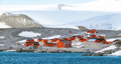  Case in Antartide: come sono fatte le abitazioni che resistono a -60°C 