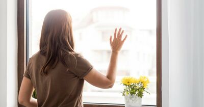  Vetro selettivo: pro e contro che devi conoscere prima di sceglierlo 