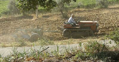  Quali sono i comuni montani esenti dall'Imu sui terreni agricoli, scopri l'elenco 