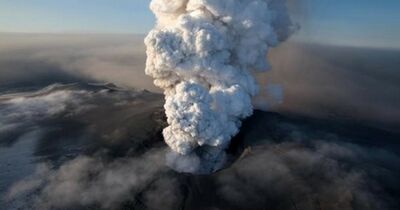  Polizze catastrofali per le imprese: le nuove scadenze per obbligo e sanzioni 