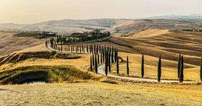  I migliori 5 luoghi panoramici delle Crete Senesi: scatta foto da cartolina 