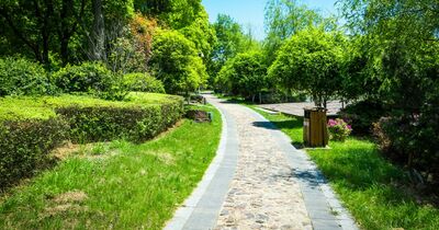  Servitù di passaggio carrabile e parcheggio auto: cosa prevede la Legge 