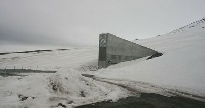  Questo è il bunker nell'Artico che protegge i semi per la sicurezza Alimentare delle generazioni future 
