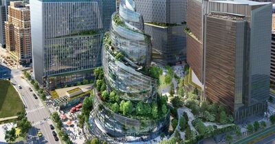  Amazon presenta The Helix, il 'bosco a spirale' della Sua sede in Virginia 