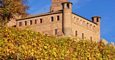  Cosa Vedere a Grinzane Cavour, il borgo medievale con uno dei castelli più belli d'Italia 