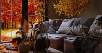  Ecco cinque idee per dare alla casa un profumo naturale di bosco 