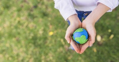  Giornata della Terra 2025: tutti gli eventi in Programma nelle varie città 