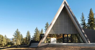  Un curioso campo di Girl Scout composto da capanne prefabbricate e immerso nella natura 