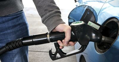  Taglio delle accise sulla benzina, le novità del Decreto Aiuti ter 