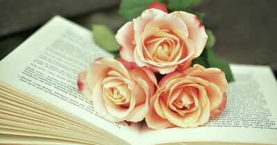  Il 23 aprile è la Giornata del Libro (e delle rose): ecco come festeggiare 