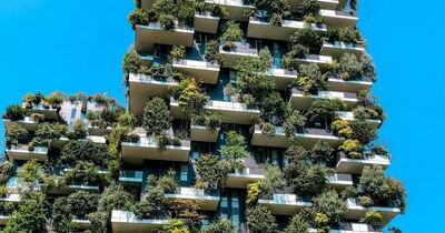  Ecco come il Bosco Verticale di Stefano Boeri ha trasformato Milano 