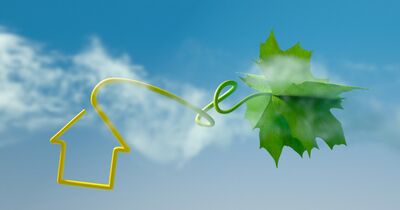  Inquinare meno in casa vuol dire risparmiare: 5 mosse facili e concrete 