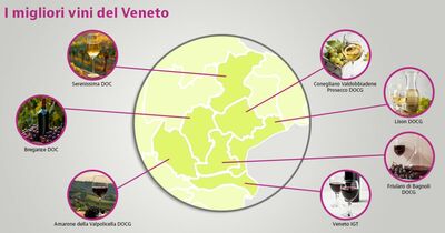  Quali sono i 7 migliori vini veneti? Dall'Amarone al Prosecco 