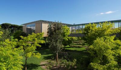  L’arca sull’albero: l’ospedali pediatrico di Bologna 