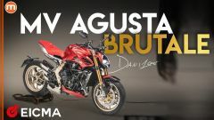  MV Agusta Brutale Serie Oro: ecco come si evolve un'icona. Tutti i segreti in video 