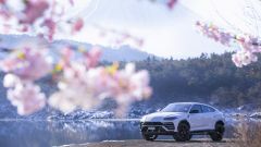  Lamborghini Urus, compie quattro anni il super SUV di Sant’Agata Bolognese 