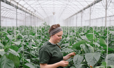  Istituto tecnico agrario esame maturità  2023: tracce e soluzioni 