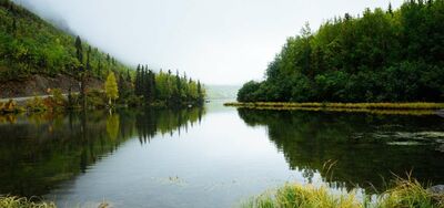  Giornata mondiale della biodiversità 2022/ Consigli per ambiente: ridurre sprechi e… 