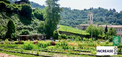  SCIENZAinATTO/ Il progetto INCREASE e il miglioramento genetico di quattro legumi 