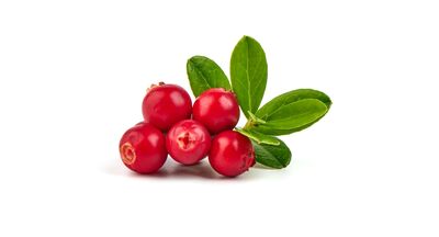  Ecco tutti i benefici dei mirtilli per la salute 